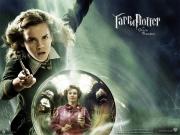 harry-potter-the-order-phoenix-hermione-granger-686